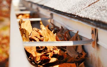 Carmel gutter cleaning companies