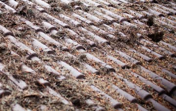 Carmel roof cleaning companies